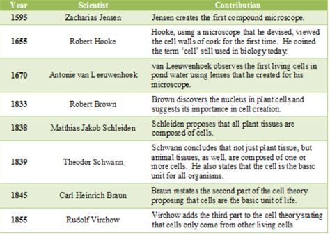 Cell Theory Timeline For Kids