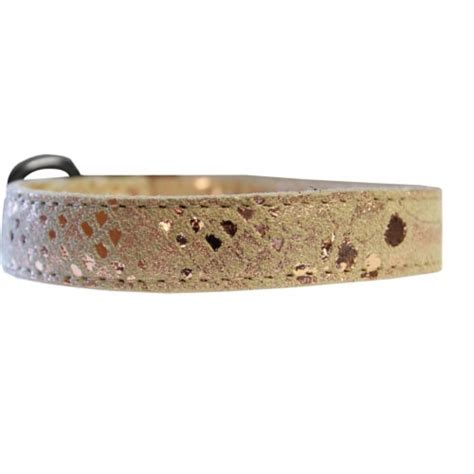 Dragon Skin Genuine Leather Dog Collar, Golden - Size 10, 1 - Kroger