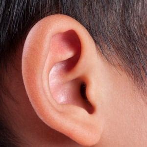 Ears grown for children in groundbreaking procedure | Health24