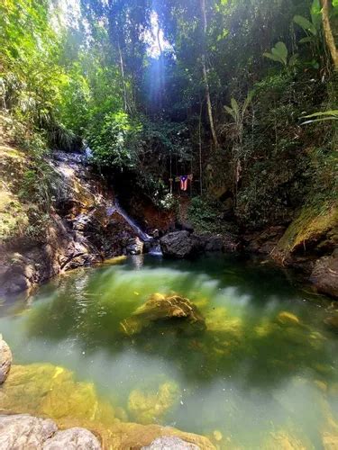 Maricao State Forest: de beste routes om te wandelen | AllTrails