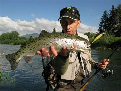 Best Trout Lures: A Beginner’s Guide for 2024