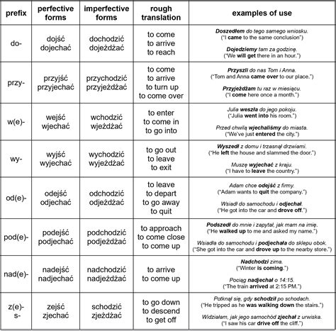 Polish verbs of motion and perfective prefixes - Clozemaster Blog