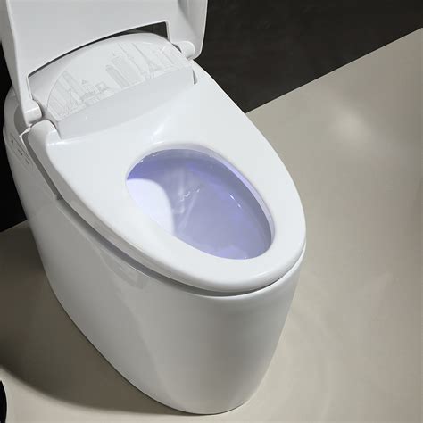 Smart One-Piece Floor Mounted Toilet and Bidet Foot Induction and ...