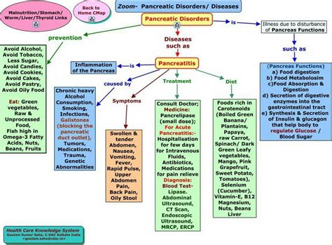 Medication Flow Diagram