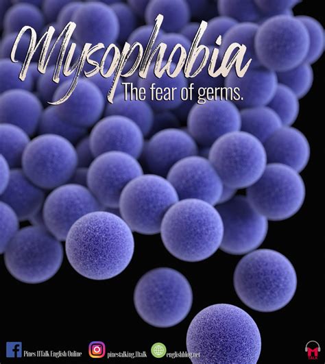 Phobias – English Blog