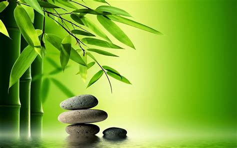 Zen-Garden-theme-pictures-1080p-HD-quality-Free-Download | One Zen Place