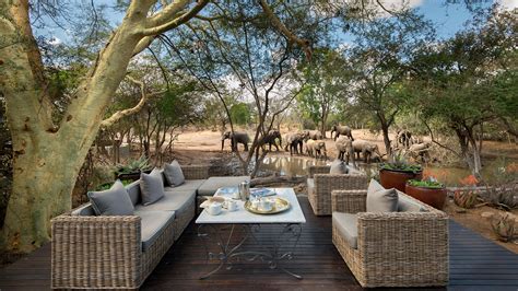 andBeyond Ngala Safari Lodge - Home