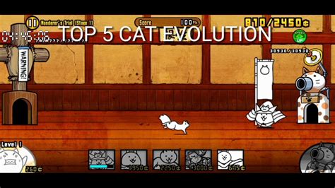 Battle cat top 5 cat evolution - YouTube