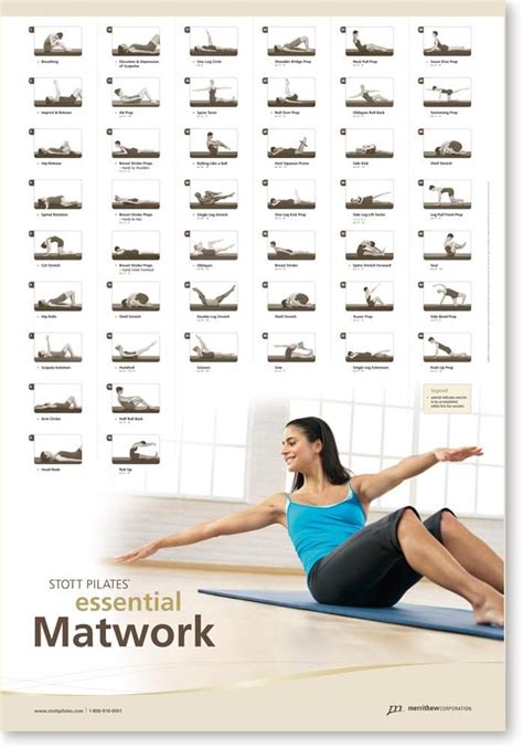 STOTT PILATES Quadro de parede - Tapete essencial 68,5 cm x 99,06 cm ...