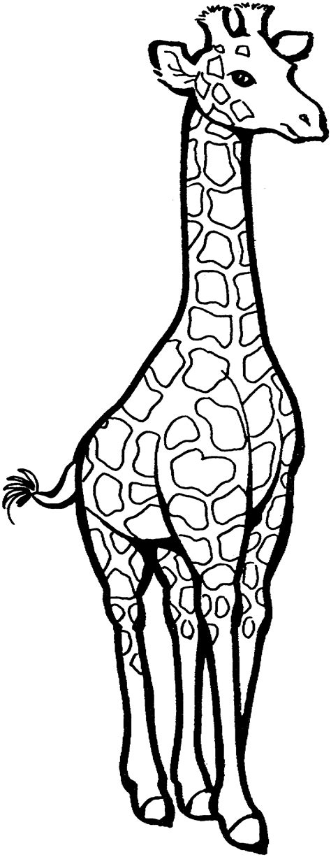 Free Giraffe Coloring Pages