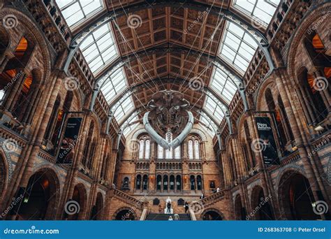 Dinosaur Skeleton in Natural History Museum in London United Kingdom ...