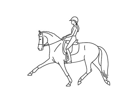 Premium Vector | Young pretty girl riding a horse line vector illustration