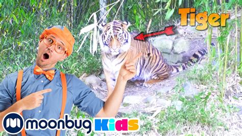 Blippi Visits a Zoo & Aquarium | Animals for Kids | Blippi | Funny ...