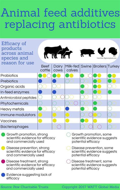 Infographic: Animal feed additives replacing antibiotics | WATTAgNet ...