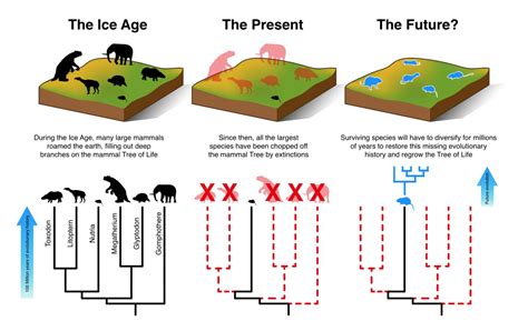 Method Graphics [IMAGE] | EurekAlert! Science News Releases