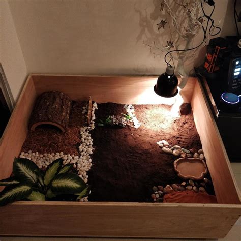 Greek Tortoise Habitat