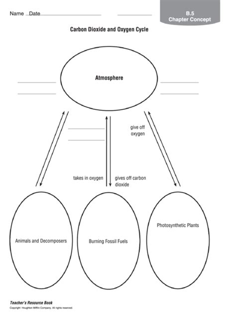 Carbon Dioxide And Oxygen Cycle Science Worksheet printable pdf download