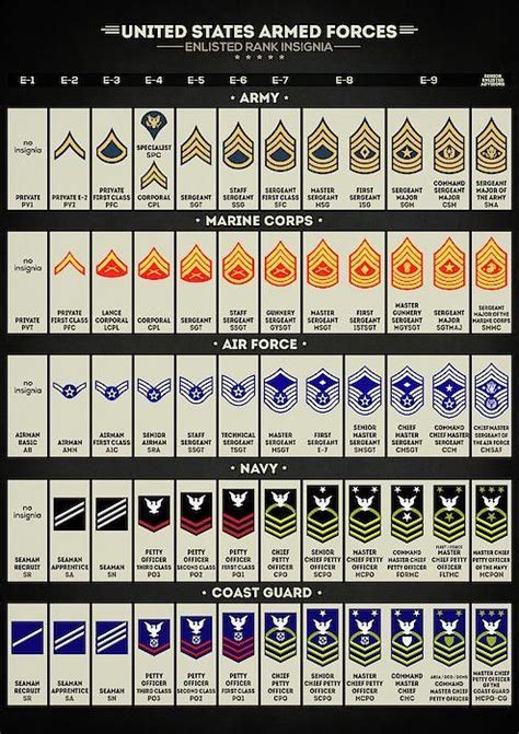 A guide to what enlisted rank insignia means : r/coolguides