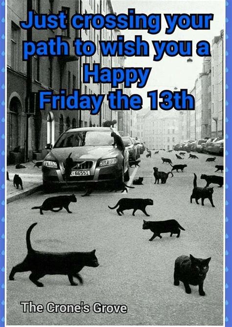 Happy friday cat meme - colorschlist