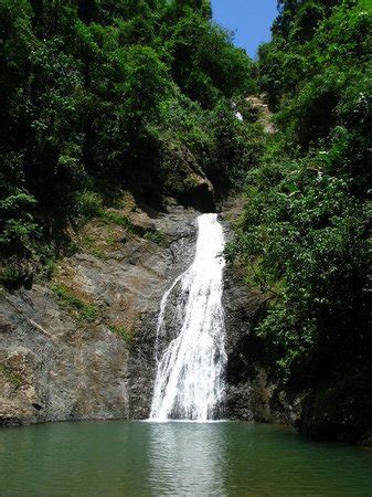 Salto Curet Waterfall (Maricao, Puerto Rico): Address, Top-Rated ...