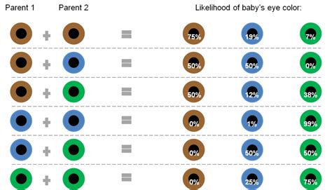 analyzing eye color genetics chart and what you need to know - eye sure ...