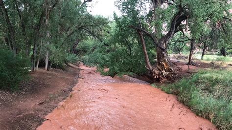 How to survive flash flooding in a Utah slot canyon and elsewhere