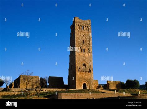 Tlemcen Algeria Great Mosque Stock Photo: 10275334 - Alamy