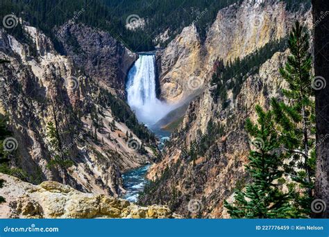 Lower Falls Waterfall in the Grand Canyon of the Yellowstone ...