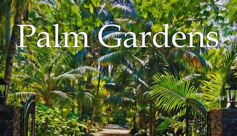 Palm Gardens - Creating a Beautiful Palm Garden