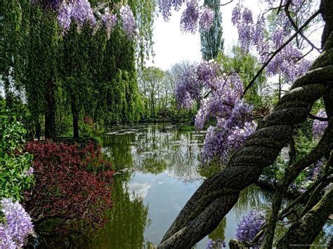 View from the Japanese Bridge in Monet's Garden by artamusica ...