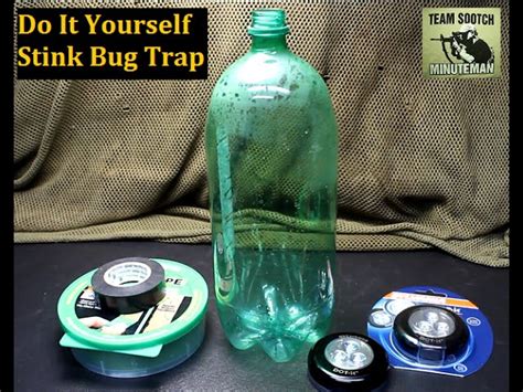 Cheap DIY Stink Bug Trap - Gun And Survival