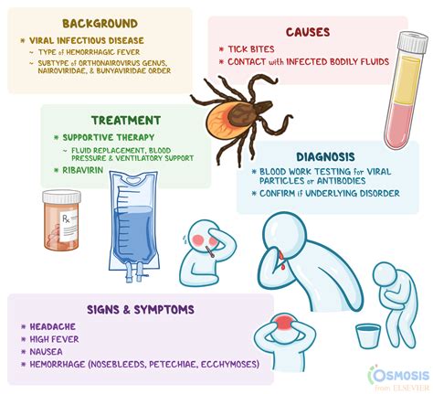 Crimean-Congo Hemorrhagic Fever: What Is It, Causes, Spread, Signs ...