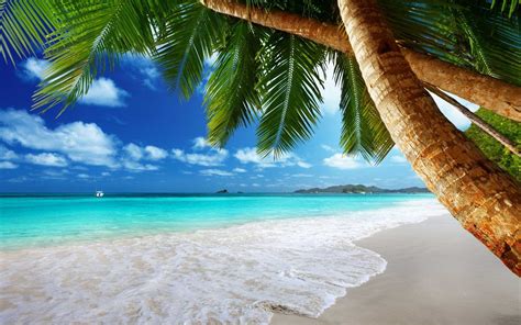 Tropical Beach Wallpaper Desktop