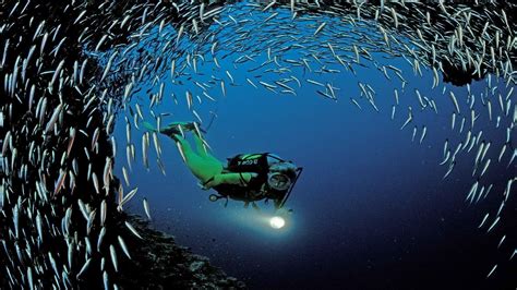 Scuba Diving Wallpapers - Wallpaper Cave