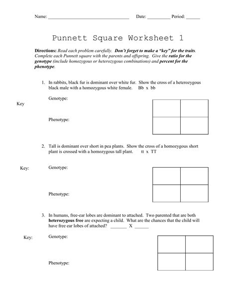 Practice Punnett Squares Heredity Unit