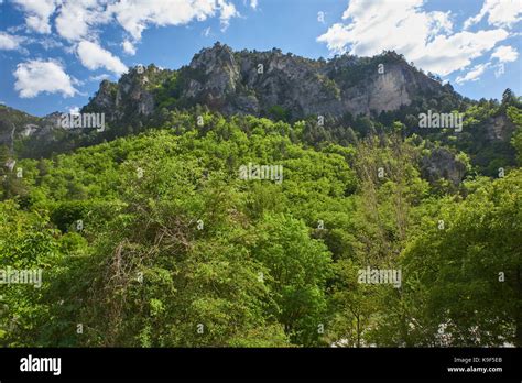 Following the Tarn Gorges Stock Photo - Alamy