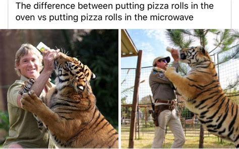 Tiger King Memes Are Taking The Internet By Storm - And We're Here For ...