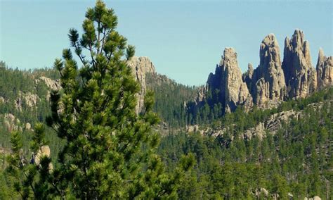 Needles Highway, South Dakota -Open / Closed Seasons, Information ...