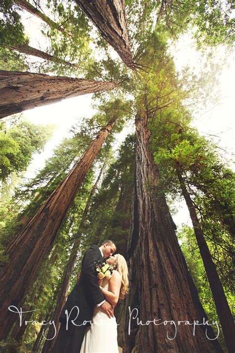 Redwood Wedding Photography in Muir Woods