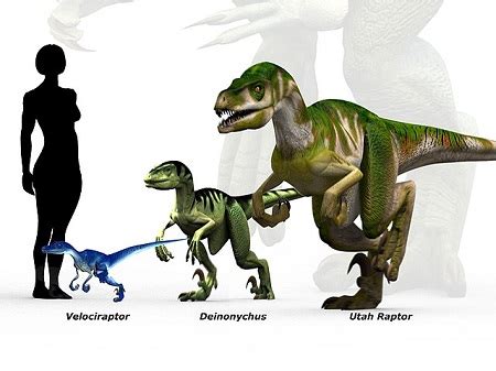 Velociraptor Relatives