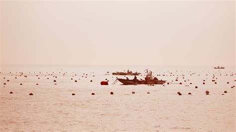 Fishermen on Sea · Free Stock Photo