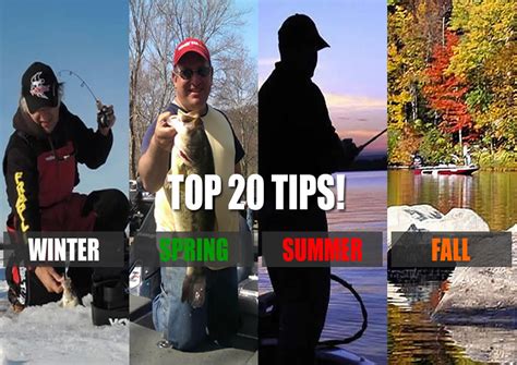 Top 20 Bass Fishing Tips by Season - Bass Fishing Videos and Tips ...