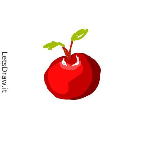 How to draw berry / byzwkodcx.png / LetsDrawIt