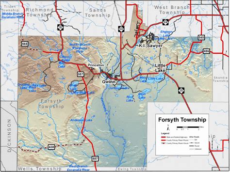 Map of Forsyth Township