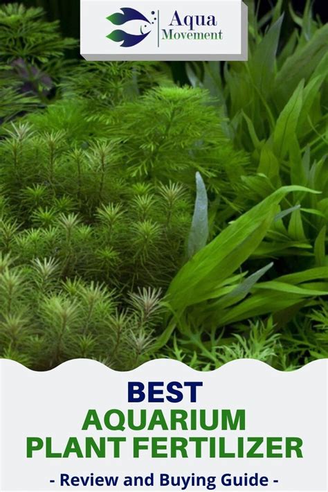 Best Aquarium Plant Fertilizer - Top 7 Review | Aqua Movement ...