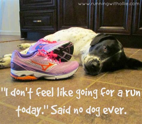 17 Best images about Running Humor on Pinterest | Running humor ...