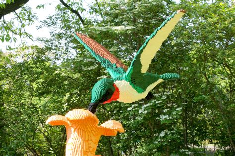 Lego Hummingbird 1 Free Stock Photo - Public Domain Pictures