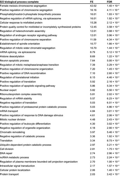 Biological functions of caspase-2 substrates. GO enrichment analysis of ...