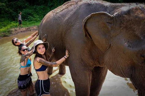 Koh Samui: Ethical Elephant Sanctuary Interactive Tour | GetYourGuide