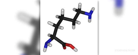 Benefits and side effects of L-lysine | General center | SteadyHealth.com